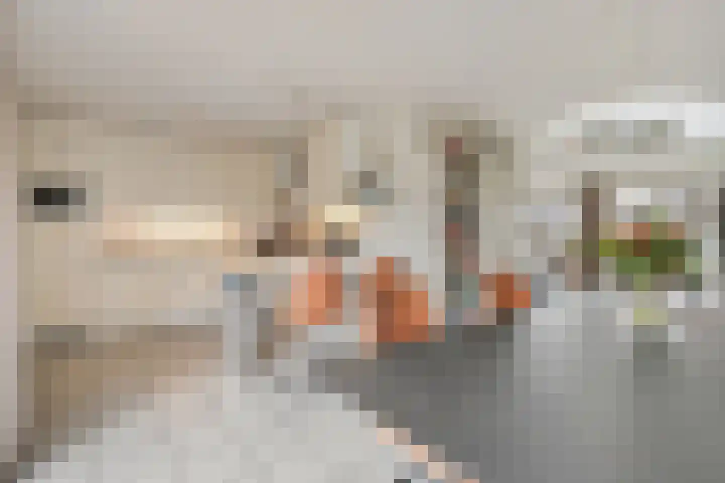 Landgoed 10 Didam thumbnail 7