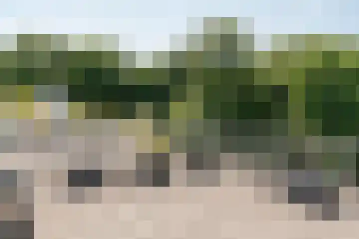 Landgoed Backershagen 16 Wassenaar thumbnail 47