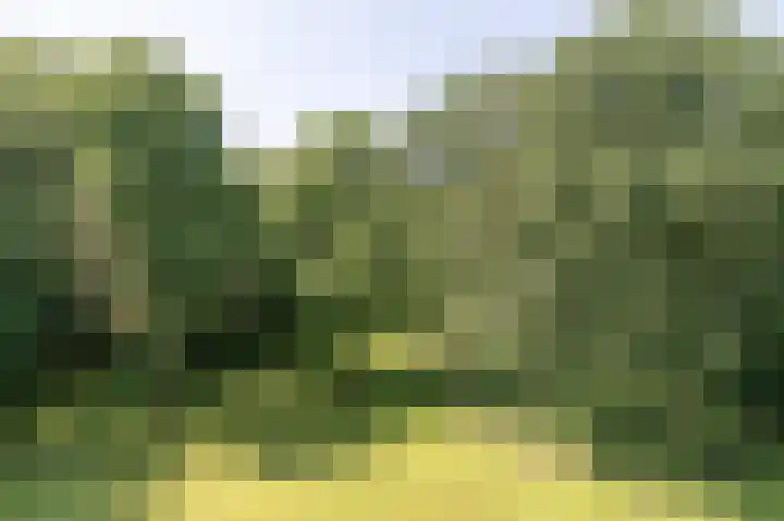 Landgoed Backershagen 16 Wassenaar thumbnail 48