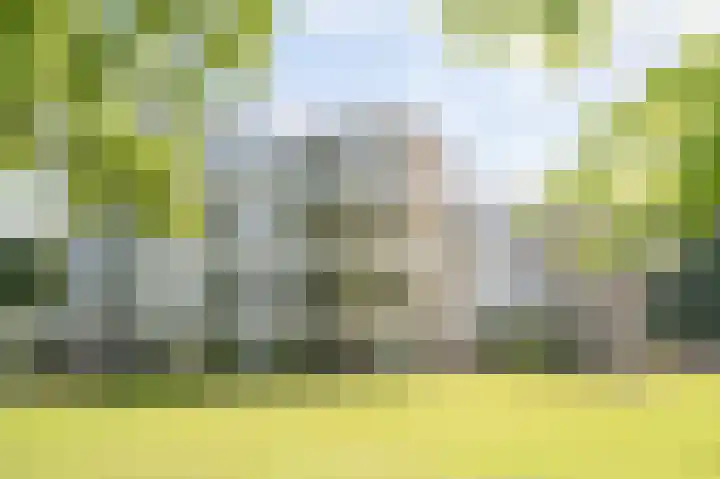 Landgoed Backershagen 16 Wassenaar thumbnail 51