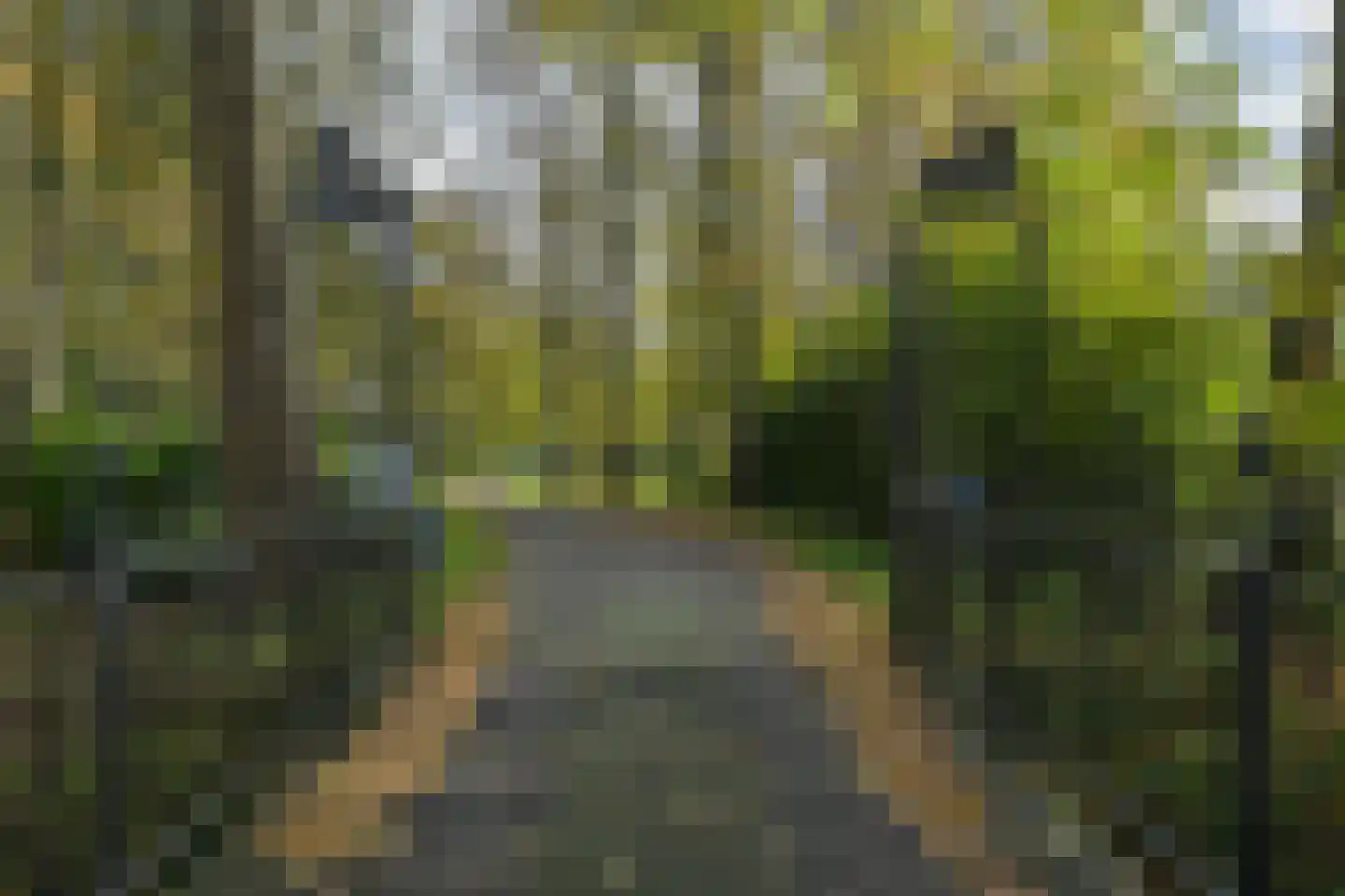 Landgoed Backershagen 8 Wassenaar thumbnail 21