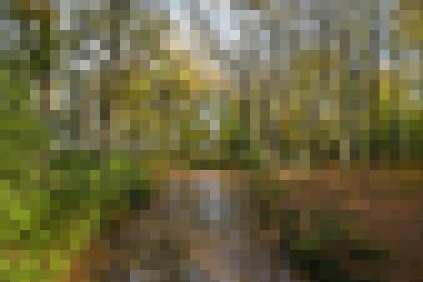 Landgoed Backershagen 8 Wassenaar thumbnail 26