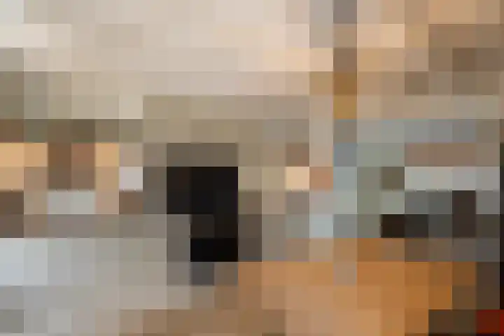 Landgoed de Paltz 2 Soest thumbnail 17