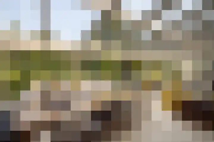 Landgoed de Paltz 2 Soest thumbnail 20