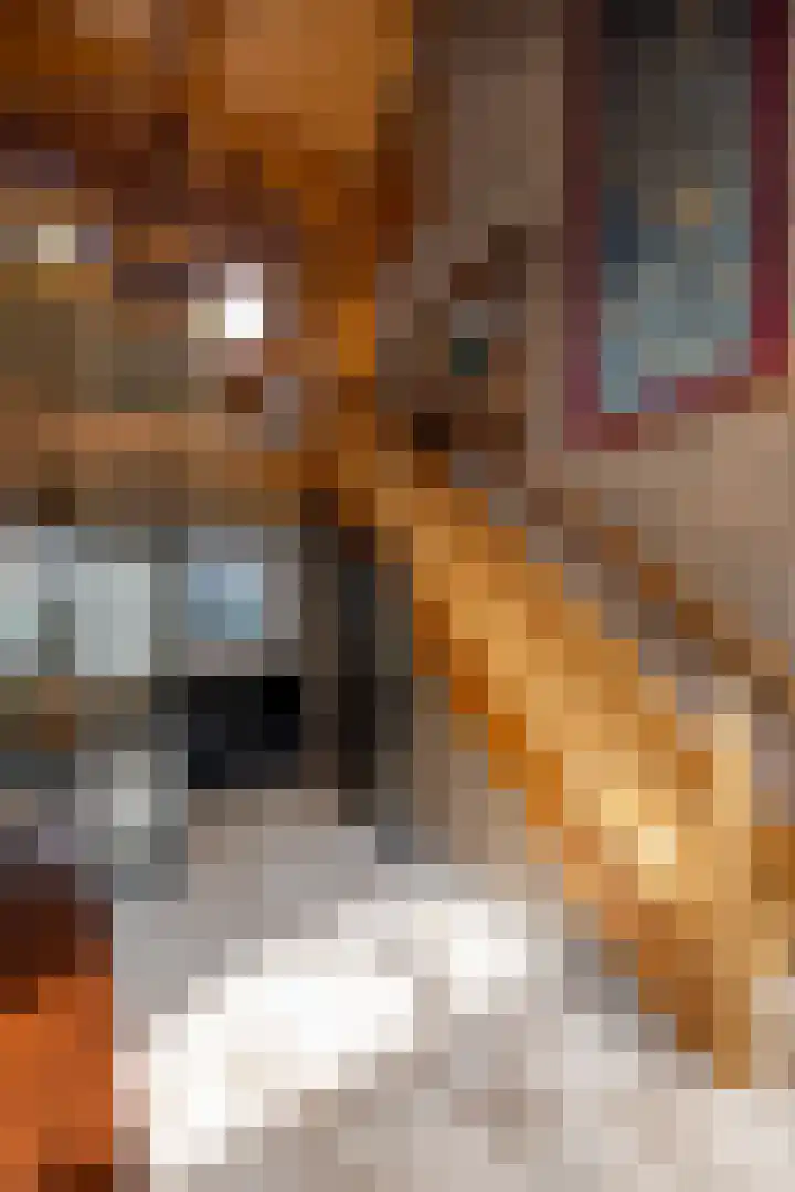 Landgoed de Paltz 2 Soest thumbnail 24
