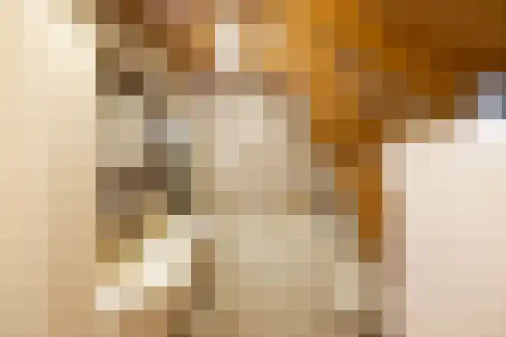 Landgoed de Paltz 2 Soest thumbnail 32