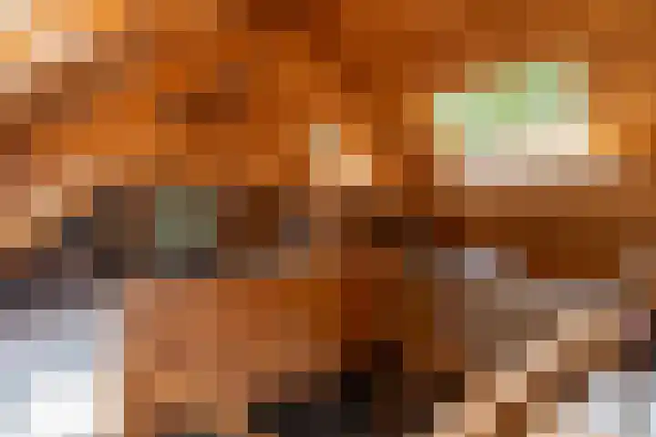 Landgoed de Paltz 2 Soest thumbnail 38