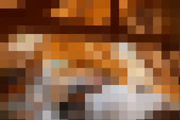 Landgoed de Paltz 2 Soest thumbnail 39