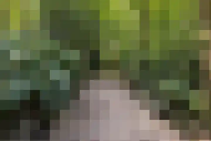 Landgoed de Paltz 2 Soest thumbnail 44