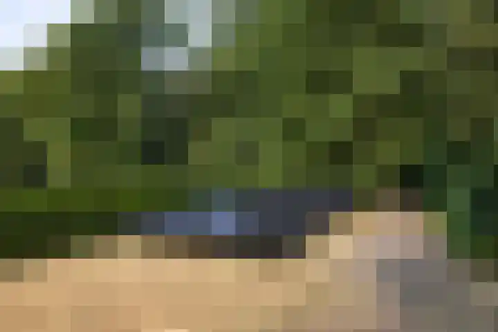 Landgoed de Paltz 2 Soest thumbnail 45