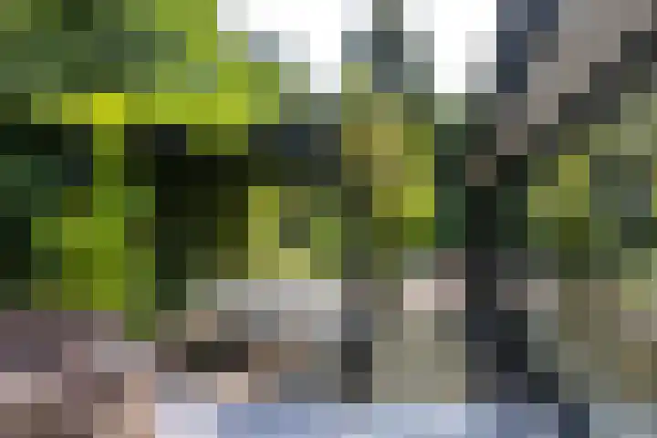 Landgoed de Paltz 2 Soest thumbnail 47