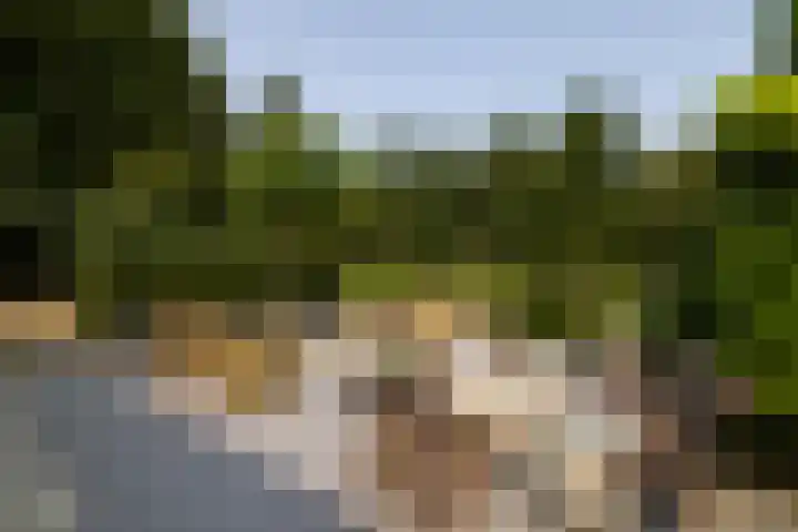 Landgoed de Paltz 2 Soest thumbnail 48