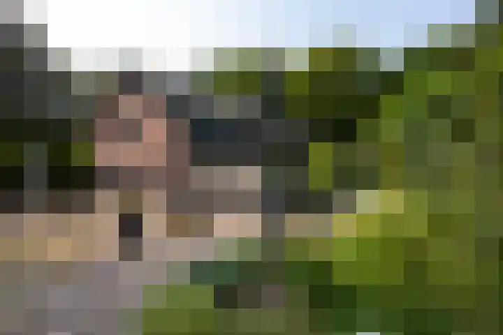 Landgoed de Paltz 2 Soest thumbnail 49