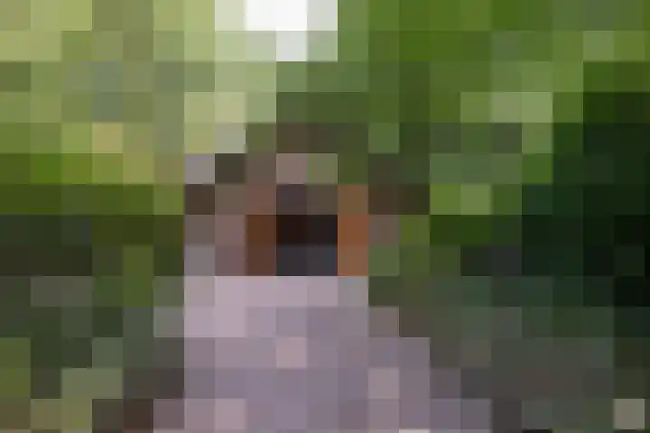 Landgoed de Paltz 2 Soest thumbnail 5