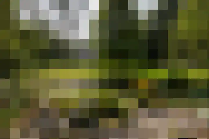 Landgoed de Paltz 2 Soest thumbnail 50