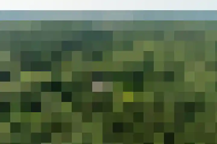 Landgoed de Paltz 2 Soest thumbnail 6