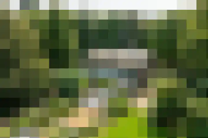 Landgoed de Paltz 2 Soest thumbnail 7