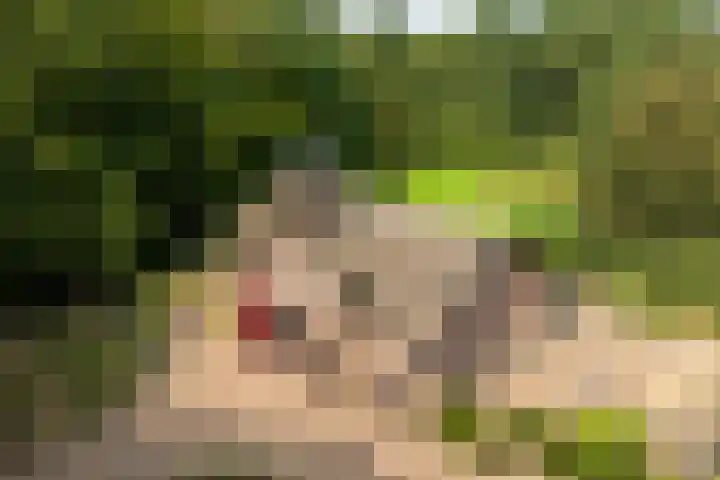 Landgoed de Paltz 2 Soest thumbnail 8