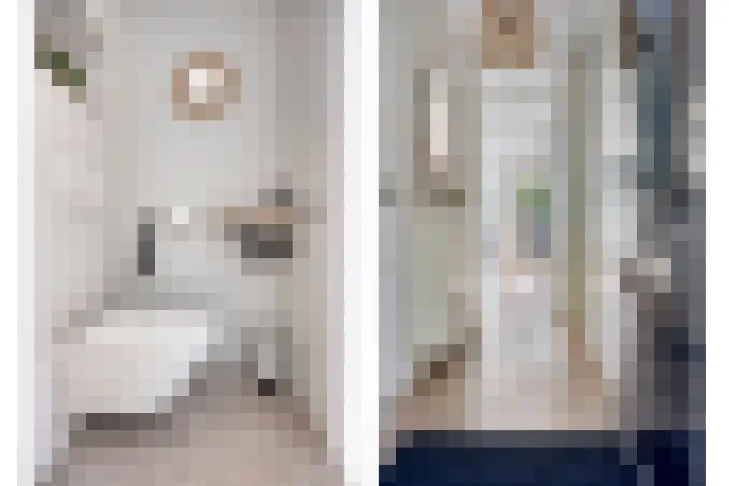 Landgoed Eikenrode 10 Krimpen aan den IJssel thumbnail 10