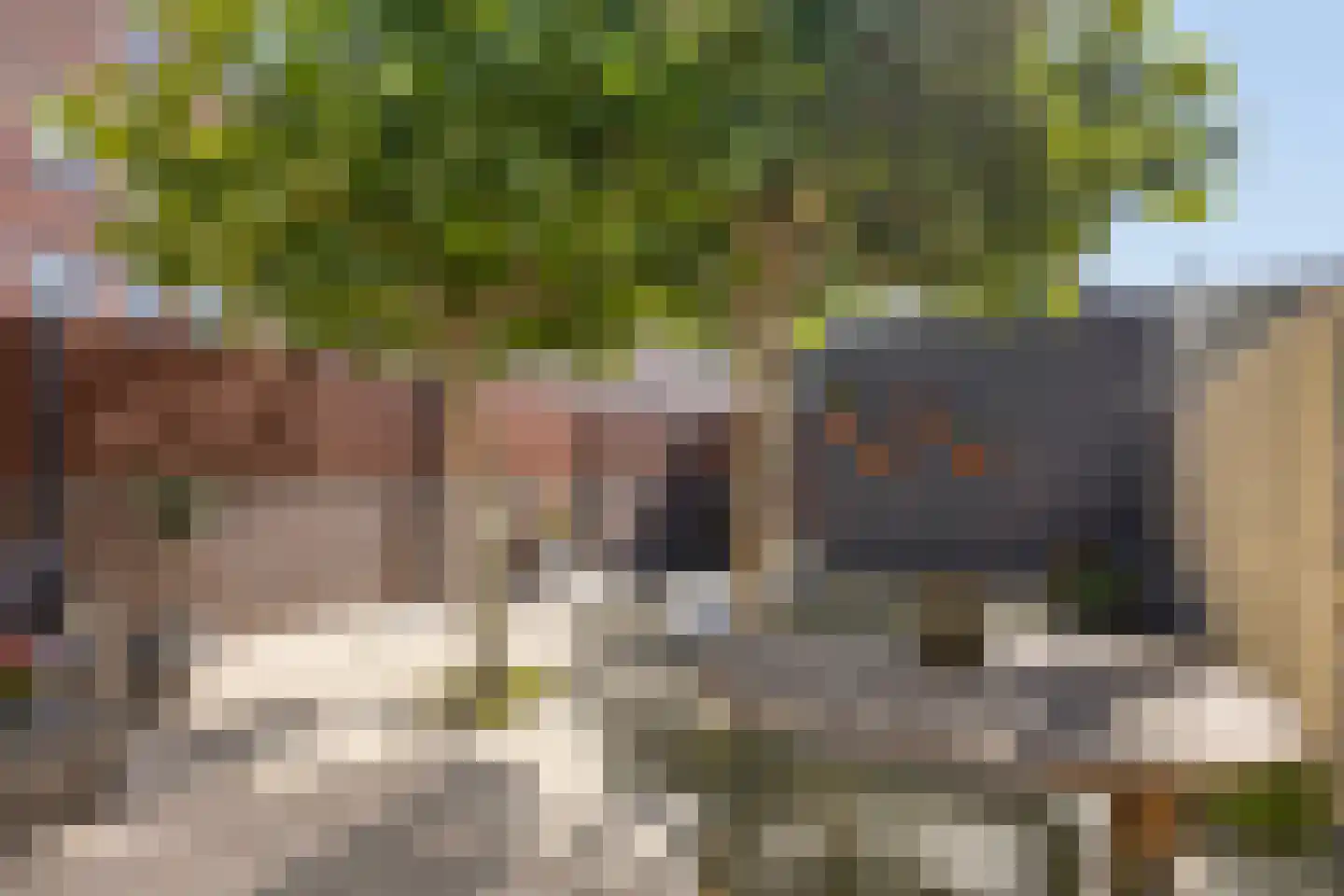 Landgoed Eikenrode 10 Krimpen aan den IJssel thumbnail 21