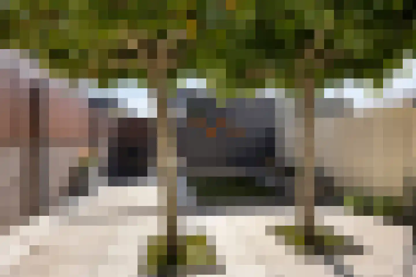 Landgoed Eikenrode 10 Krimpen aan den IJssel thumbnail 22