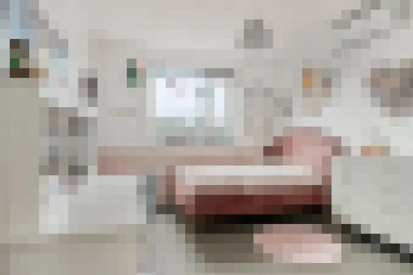 Landgoed Goedenraad 14 Krimpen aan den IJssel thumbnail 28