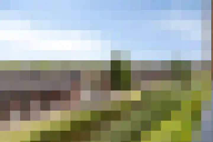 Landgoed Nederhoven 13 Krimpen aan den IJssel thumbnail 11