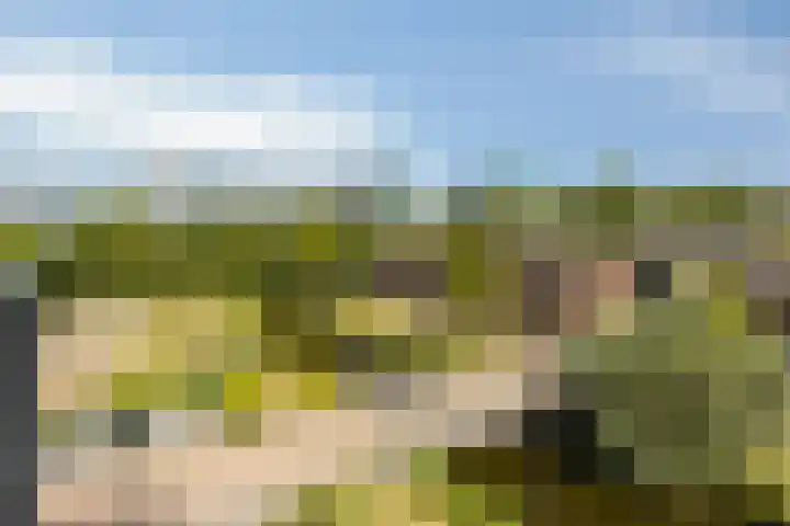 Landgoed Nederhoven 13 Krimpen aan den IJssel thumbnail 12