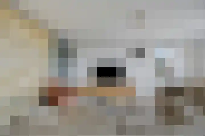 Landgoed Nederhoven 13 Krimpen aan den IJssel thumbnail 5