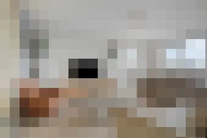 Landgoed Nederhoven 13 Krimpen aan den IJssel thumbnail 6