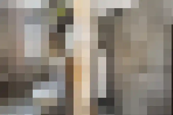 Landgoed Nederhoven 18 Krimpen aan den IJssel thumbnail 21