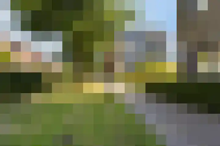 Landgoed Nederhoven 18 Krimpen aan den IJssel thumbnail 35