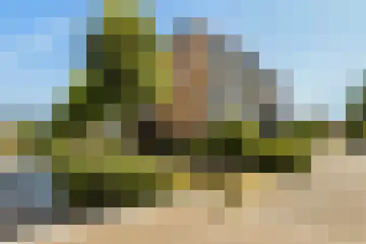 Landgoed Nederhoven 18 Krimpen aan den IJssel thumbnail 37
