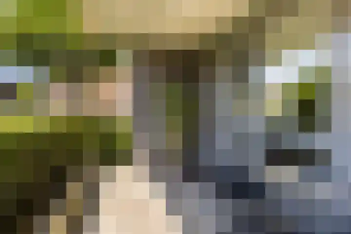 Landgoed Nederhoven 18 Krimpen aan den IJssel thumbnail 7