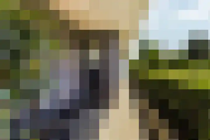 Landgoed Nederhoven 18 Krimpen aan den IJssel thumbnail 8