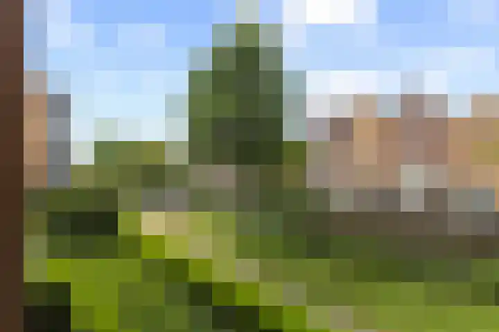 Landgoed Nederhoven 22 Krimpen aan den IJssel thumbnail 14