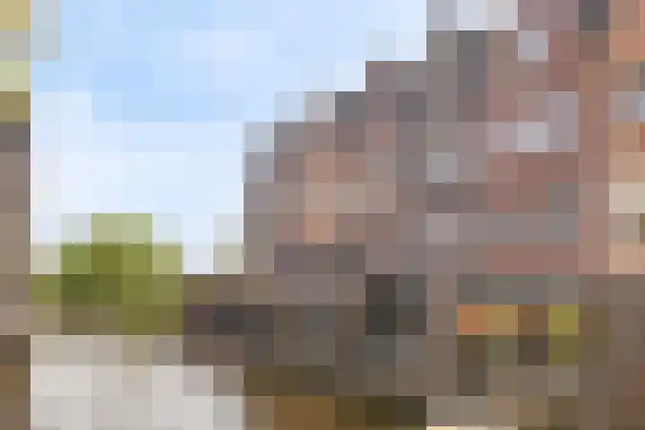 Landgoed Sandenburg 22 Krimpen aan den IJssel thumbnail 33