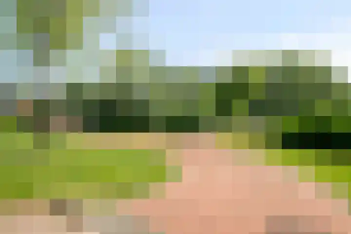 Landgoed Sandenburg 22 Krimpen aan den IJssel thumbnail 34