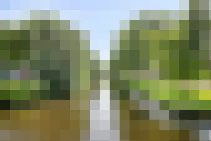 Landgoed Sandenburg 22 Krimpen aan den IJssel thumbnail 35
