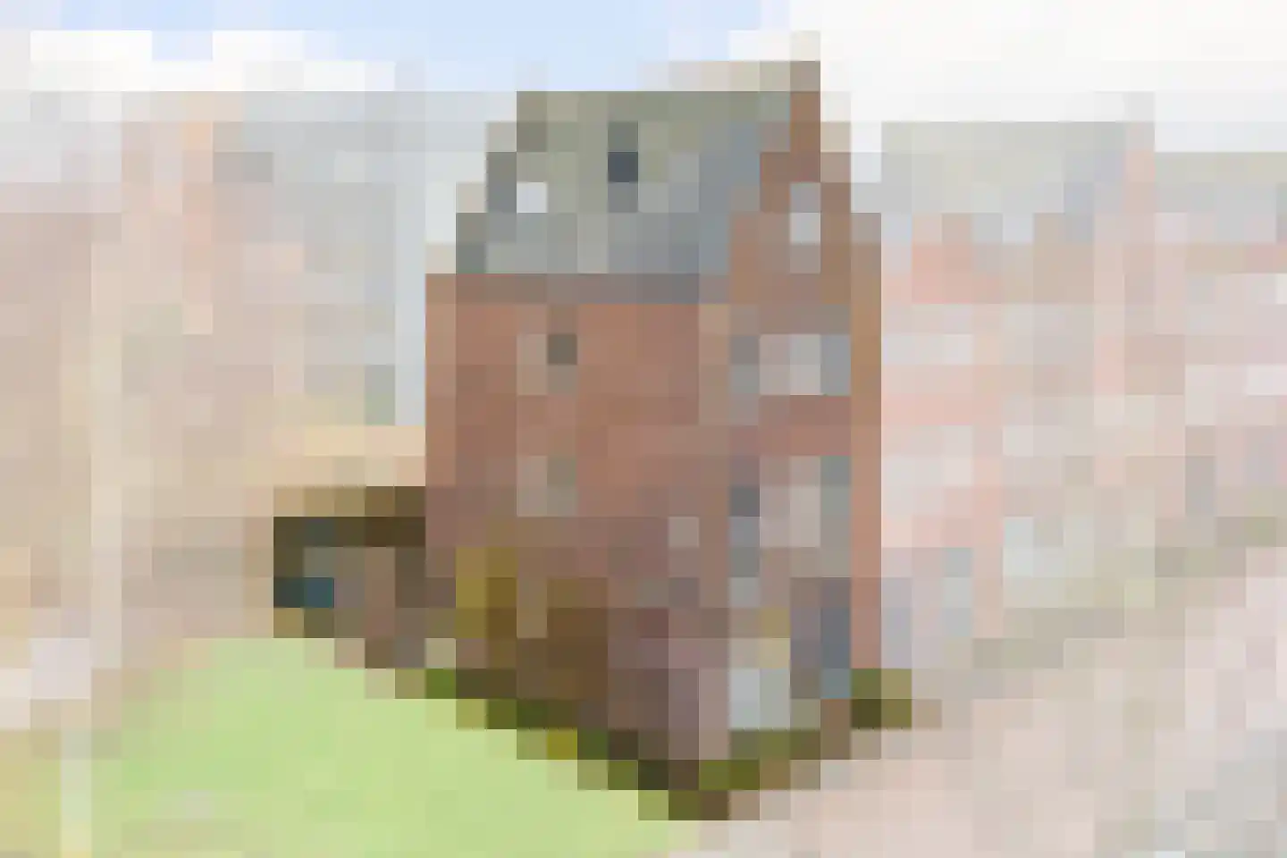 Landgoed Sandenburg 9 Krimpen aan den IJssel