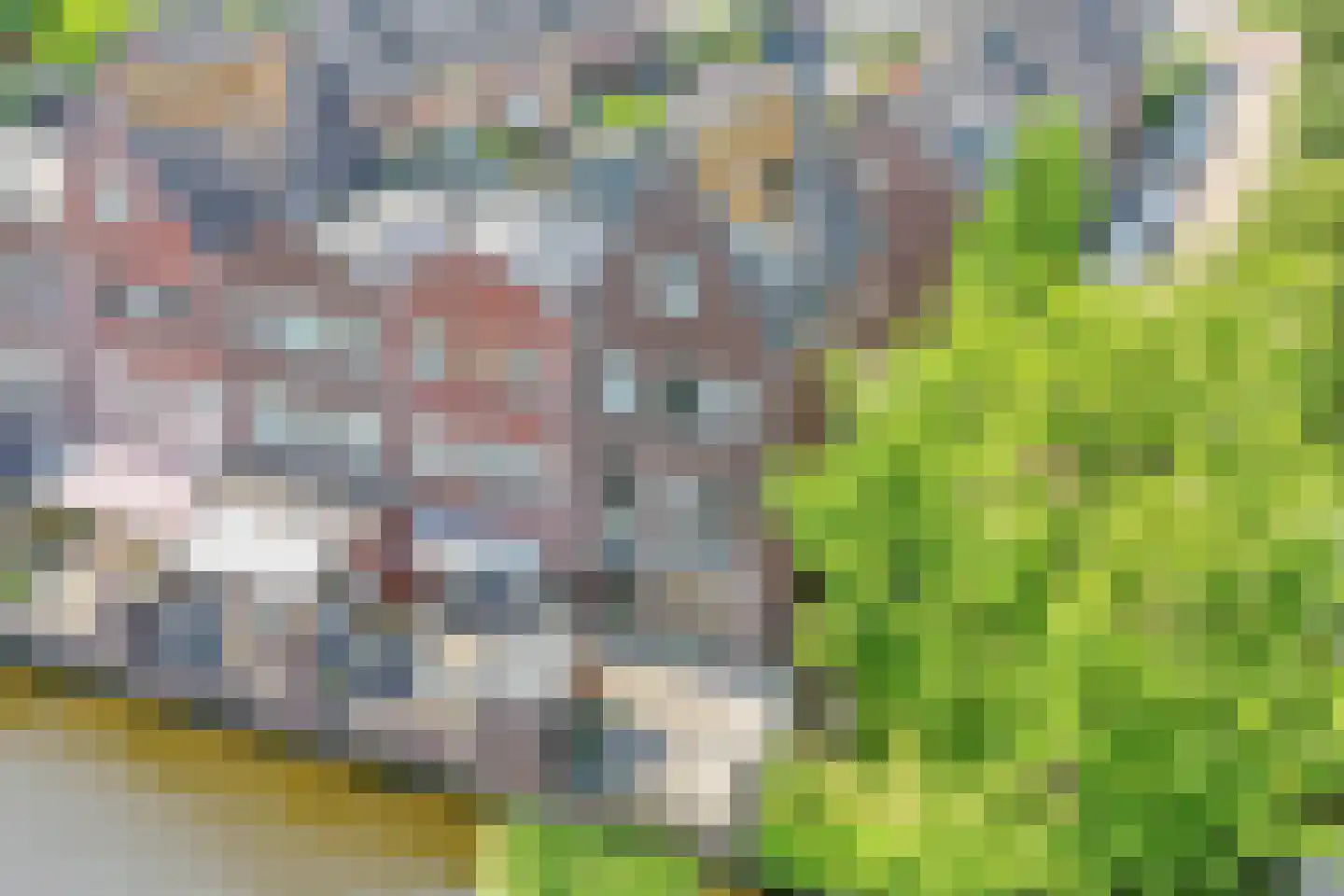 Landgoed Sandenburg 9 Krimpen aan den IJssel thumbnail 31
