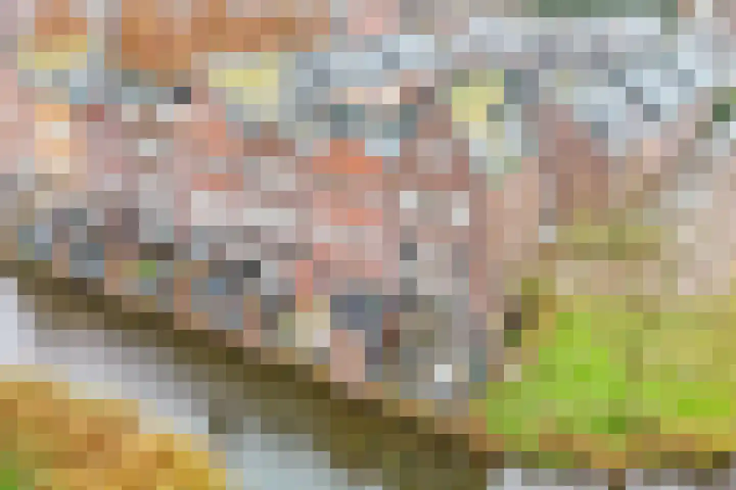 Landgoed Sandenburg 9 Krimpen aan den IJssel thumbnail 32
