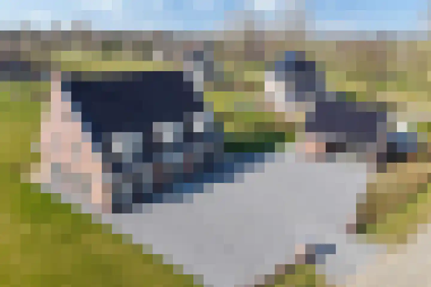 Landgoedallee 23 in Steenwijk