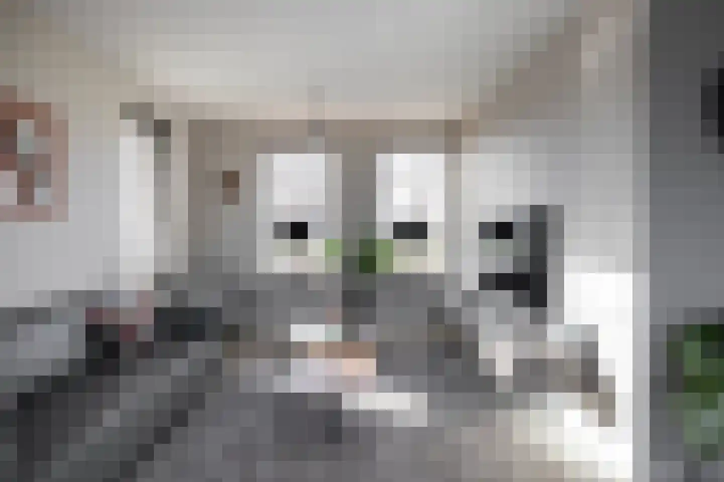 Landgoedallee 26 Steenwijk thumbnail 16