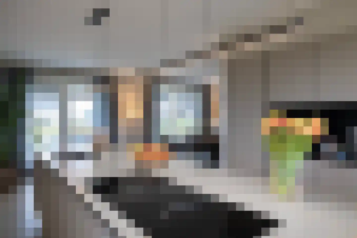 Landgoedallee 26 Steenwijk thumbnail 19