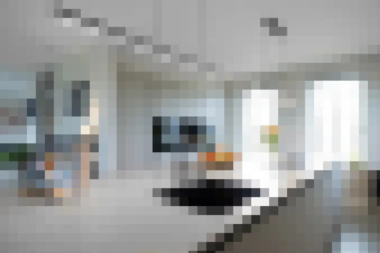 Landgoedallee 26 Steenwijk thumbnail 20