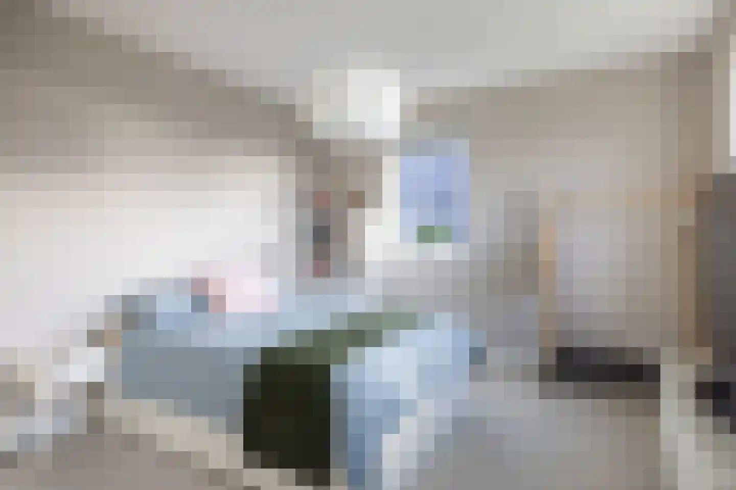 Landgoedallee 26 Steenwijk thumbnail 33
