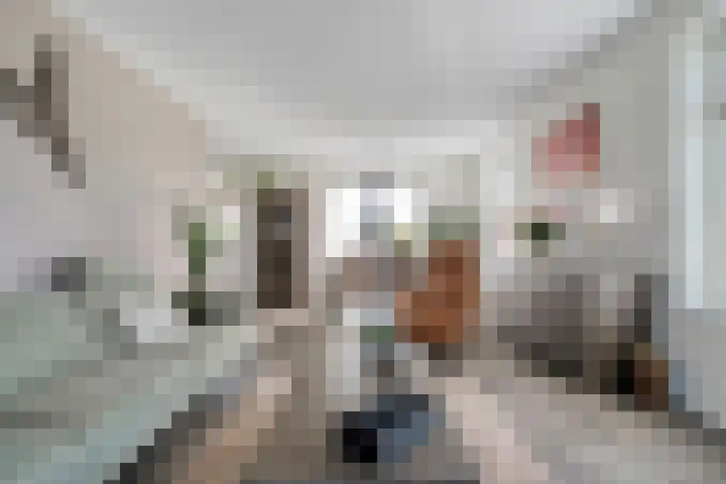 Landgoedallee 35 Steenwijk thumbnail 15