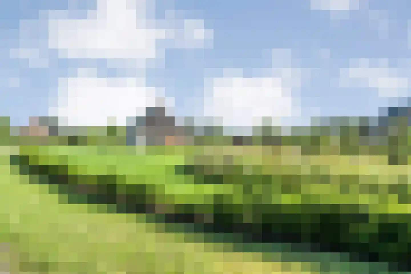 Landgoedallee 35 Steenwijk thumbnail 41