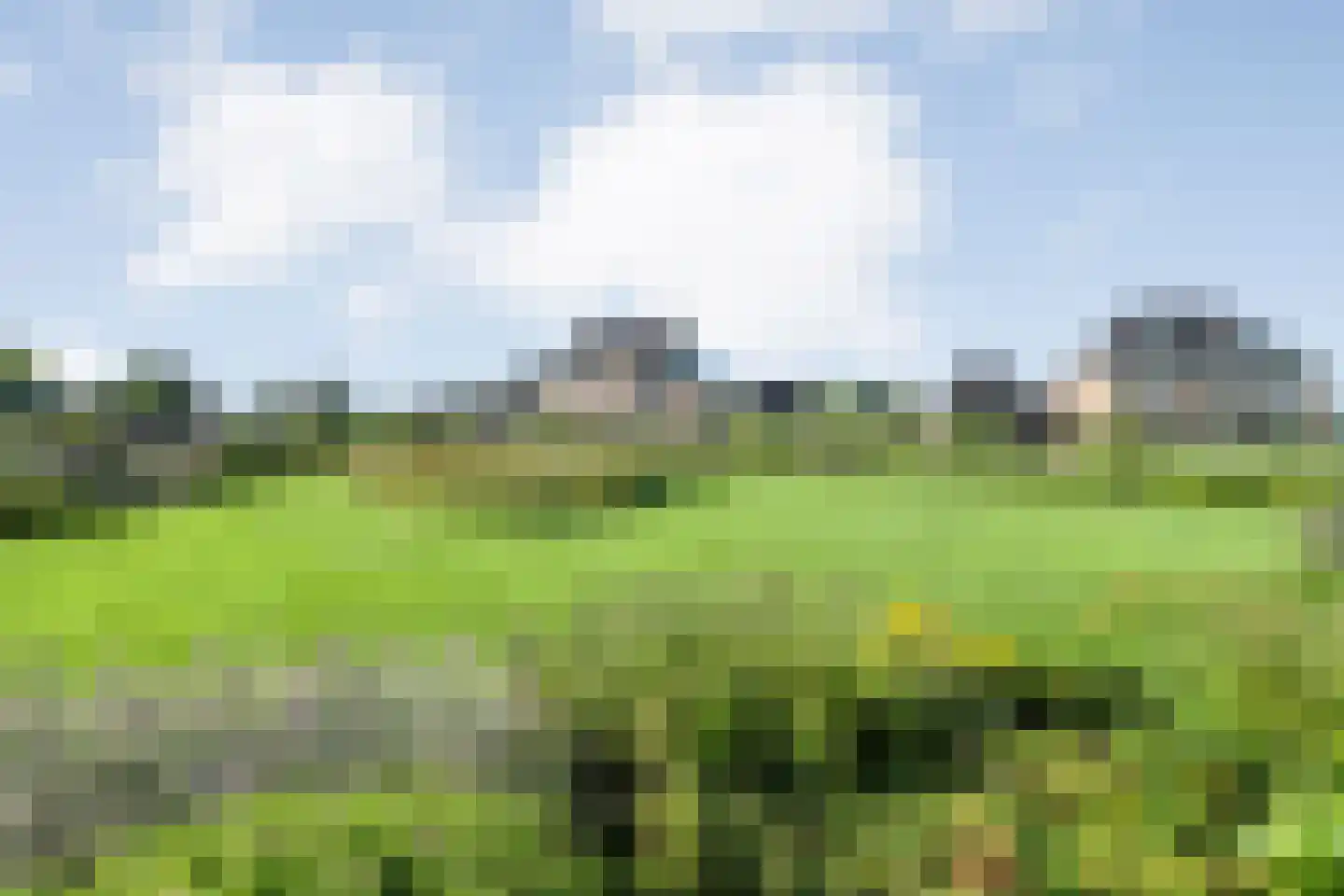 Landgoedallee 35 Steenwijk thumbnail 42